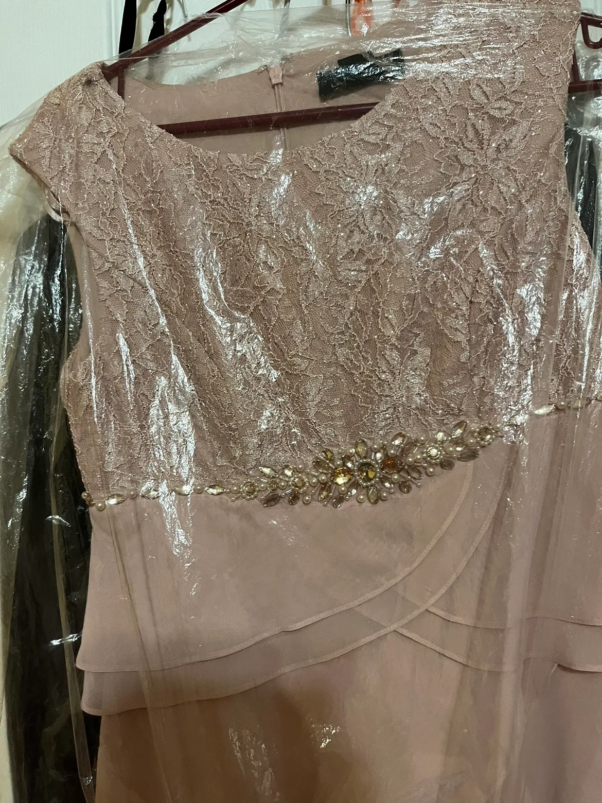 Adrianna Papell Blush Pink Lace Party image indicator(3)