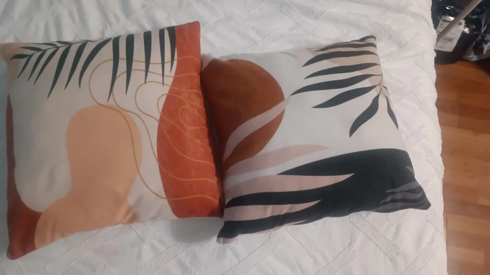 2 Throw Pillows thumbnail