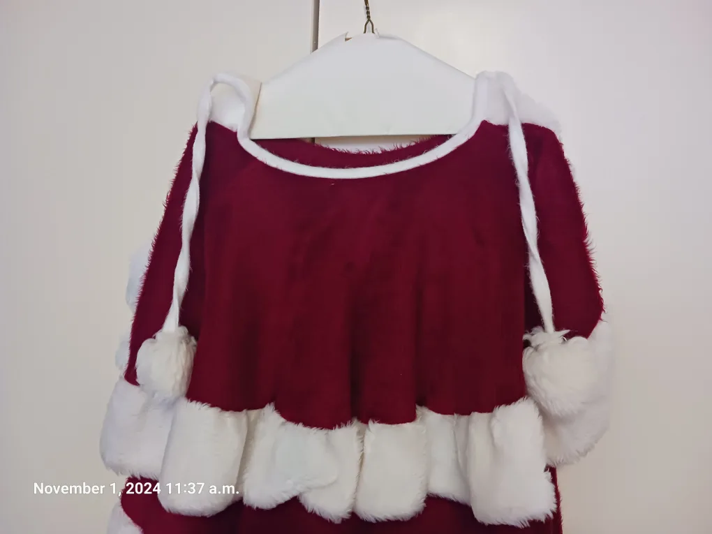 Mrs Claus Costume image indicator(3)