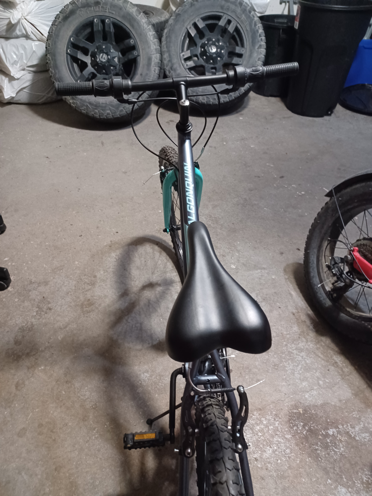 24 " girls Mountain Bike