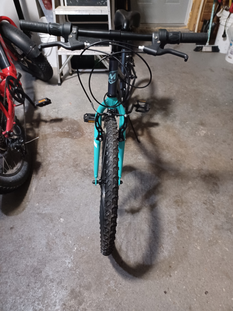 24 " girls Mountain Bike - photo 3