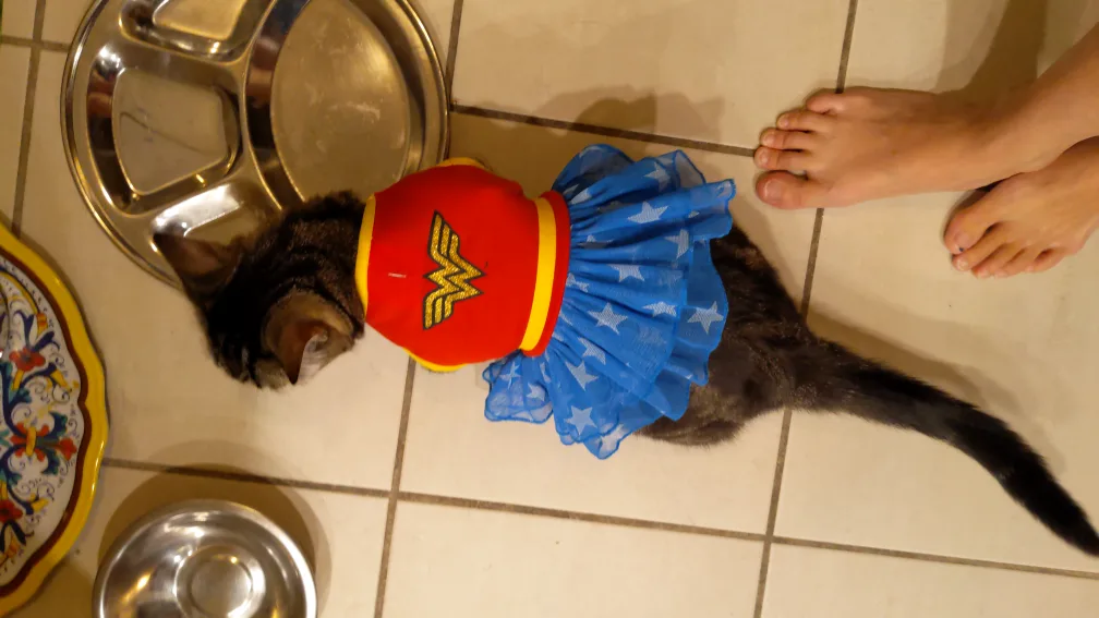 small pet wonder woman costume 🧡 image indicator(4)