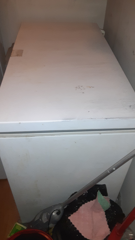 Chest Freezer
