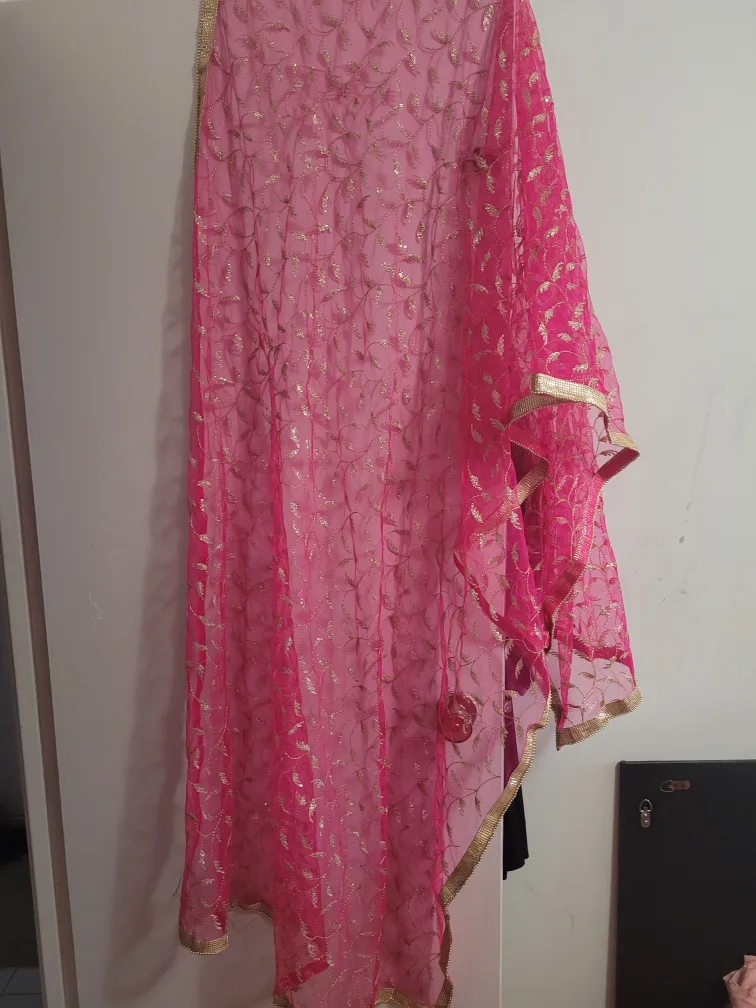 Pink and Gold Indian Salwar Kameez Suit image indicator(4)