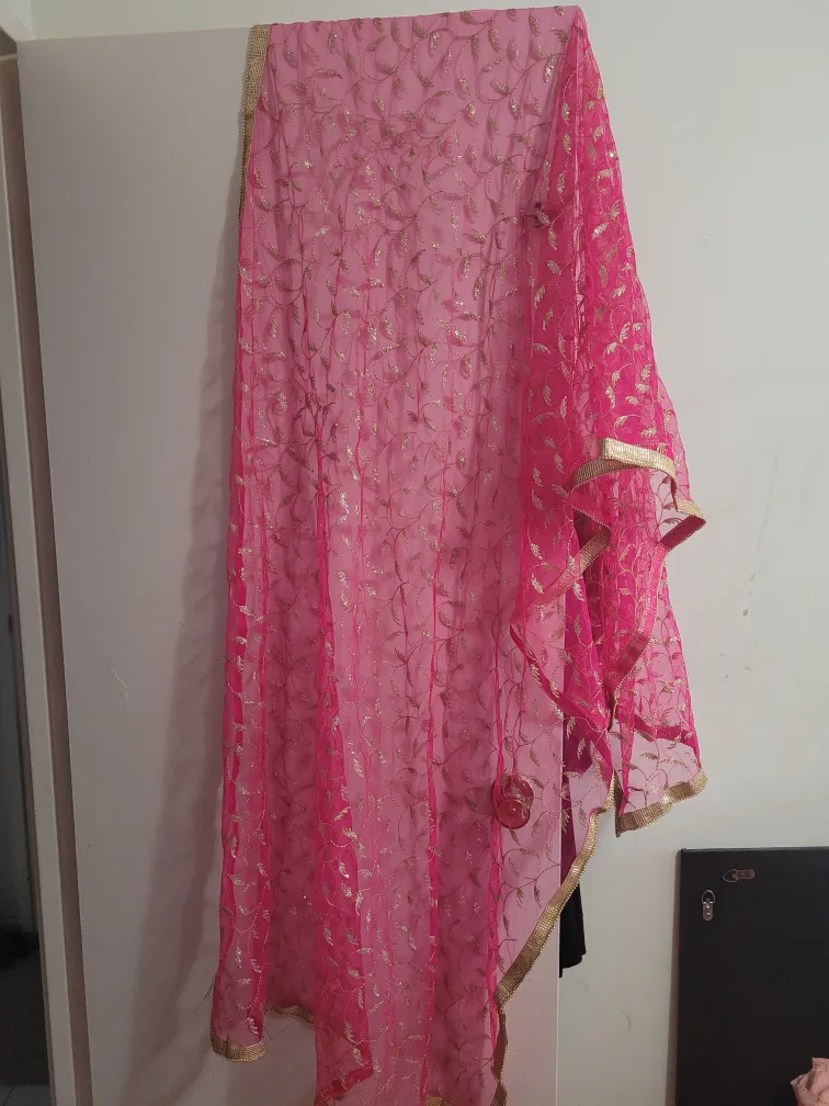 Pink and Gold Indian Salwar Kameez Suit image indicator(5)