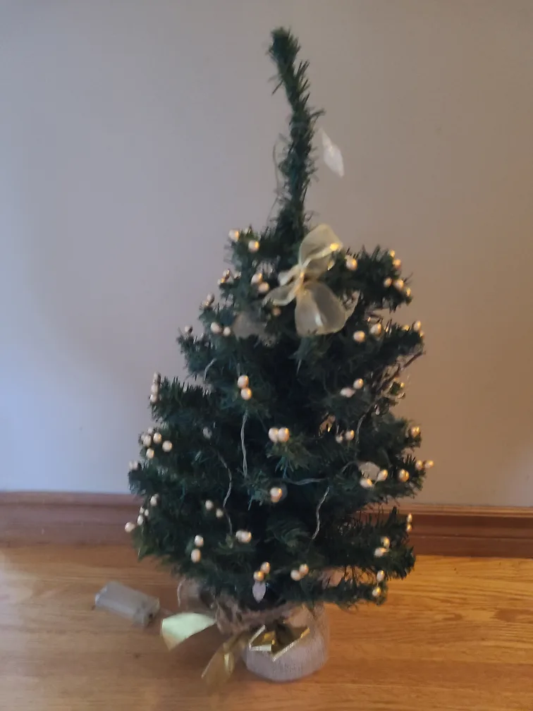 Small Christmas Tree with Lights image indicator(2)