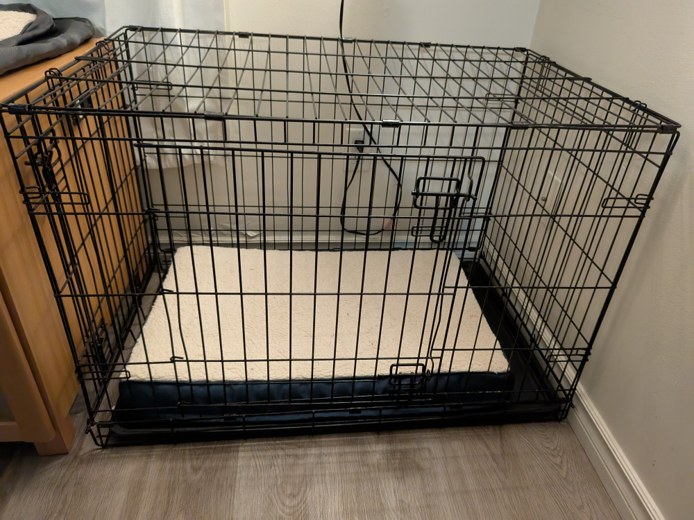 Dog Crate & bed