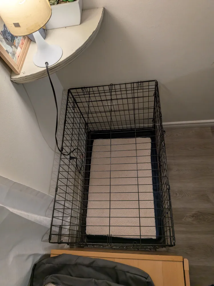 Dog Crate & bed image indicator(2)