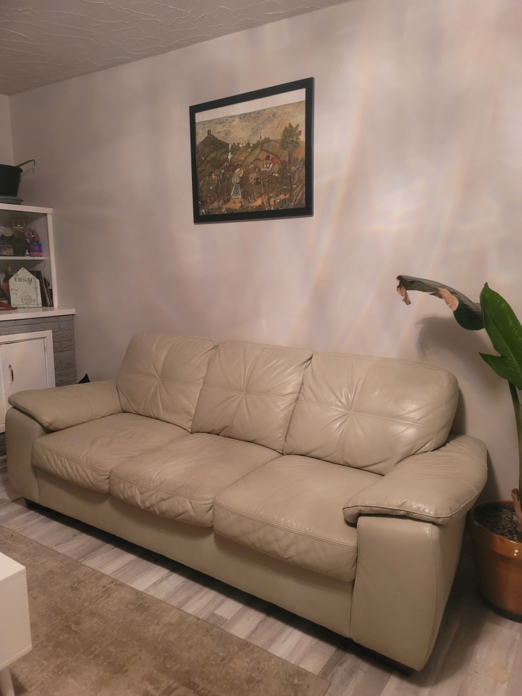 Beige Leather Sofa