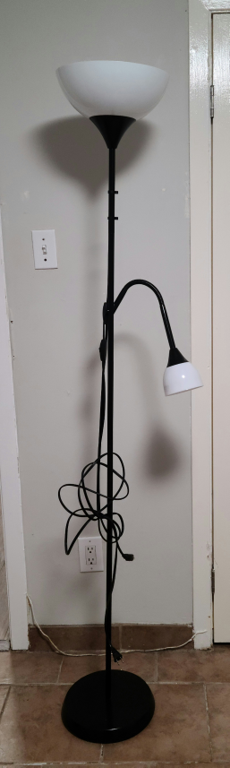 Black Floor Lamp with Adjustable Light