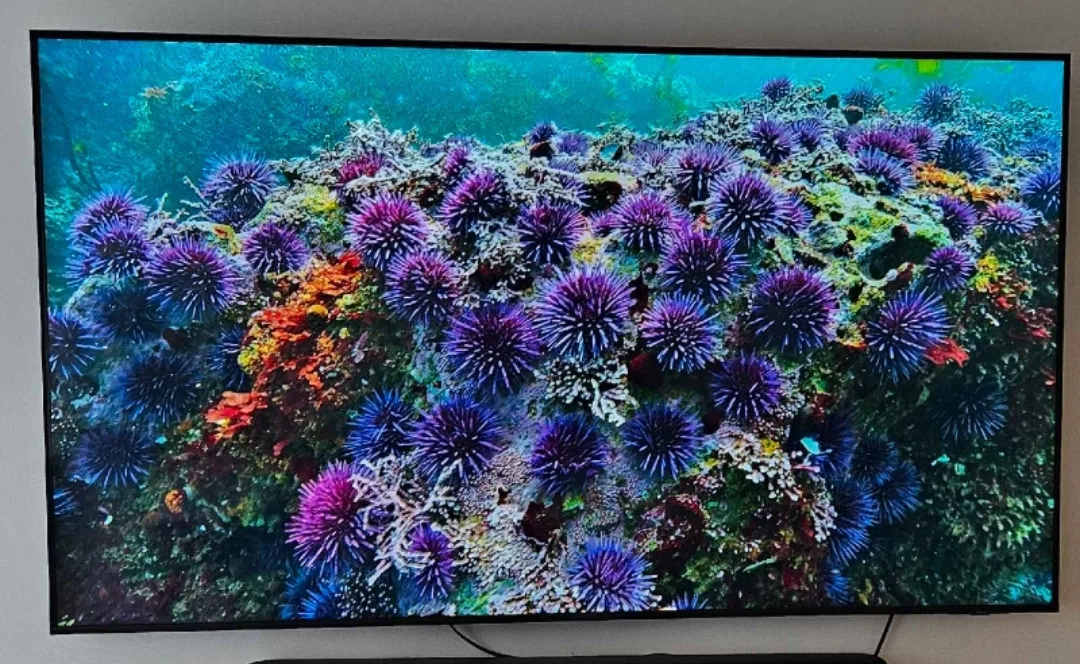 Samsung Q70C 65" TV - Only Had Since January & Under Warranty image indicator(2)