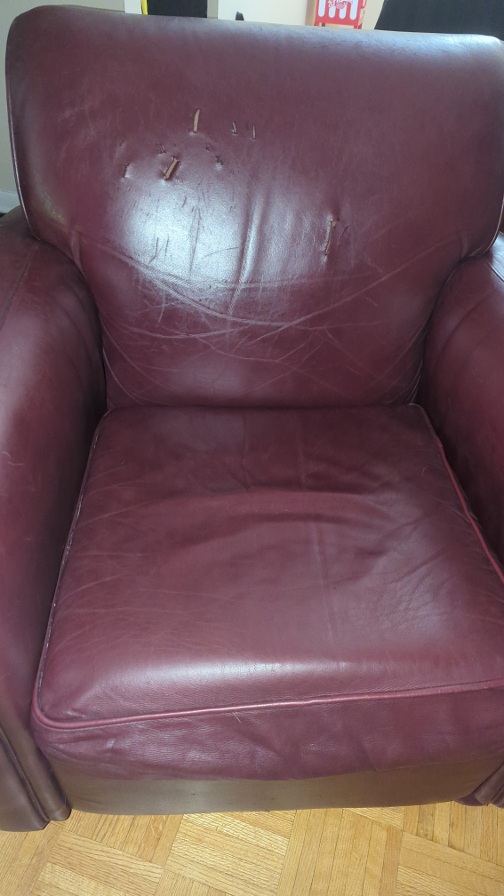 Rawhide couch and club chair - photo 2