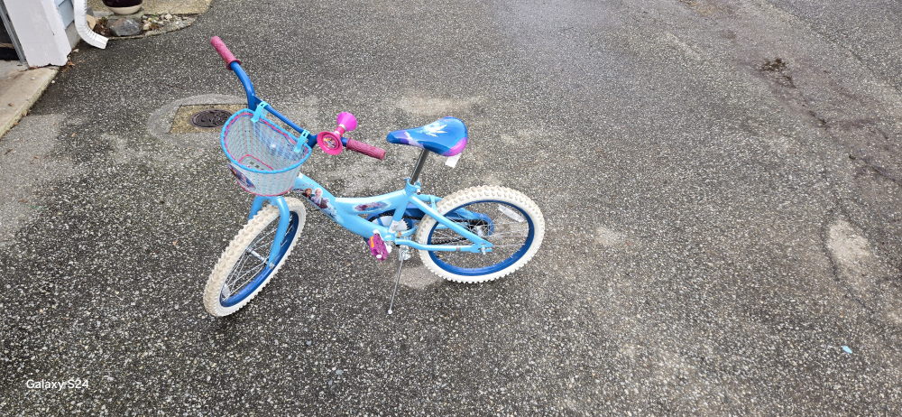 Frozen Kids Bike