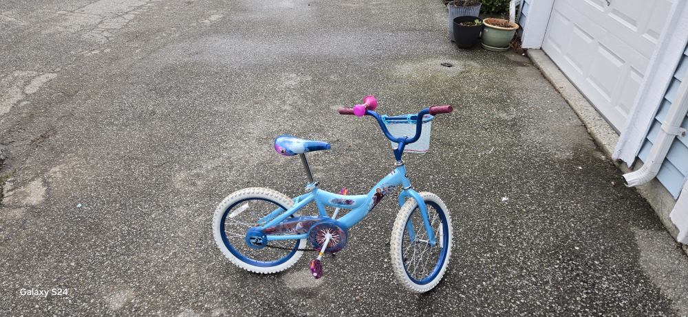 Frozen Kids Bike - photo 4