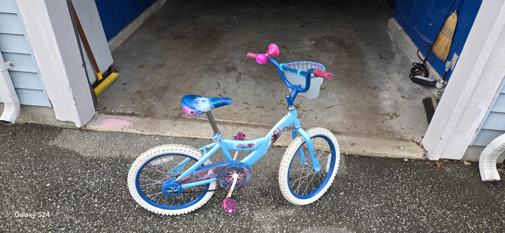 Frozen Kids Bike - photo 5