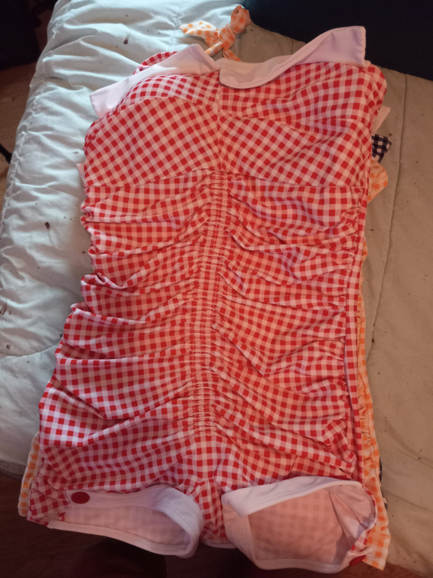 Three Vintage Gingham Swimsuits