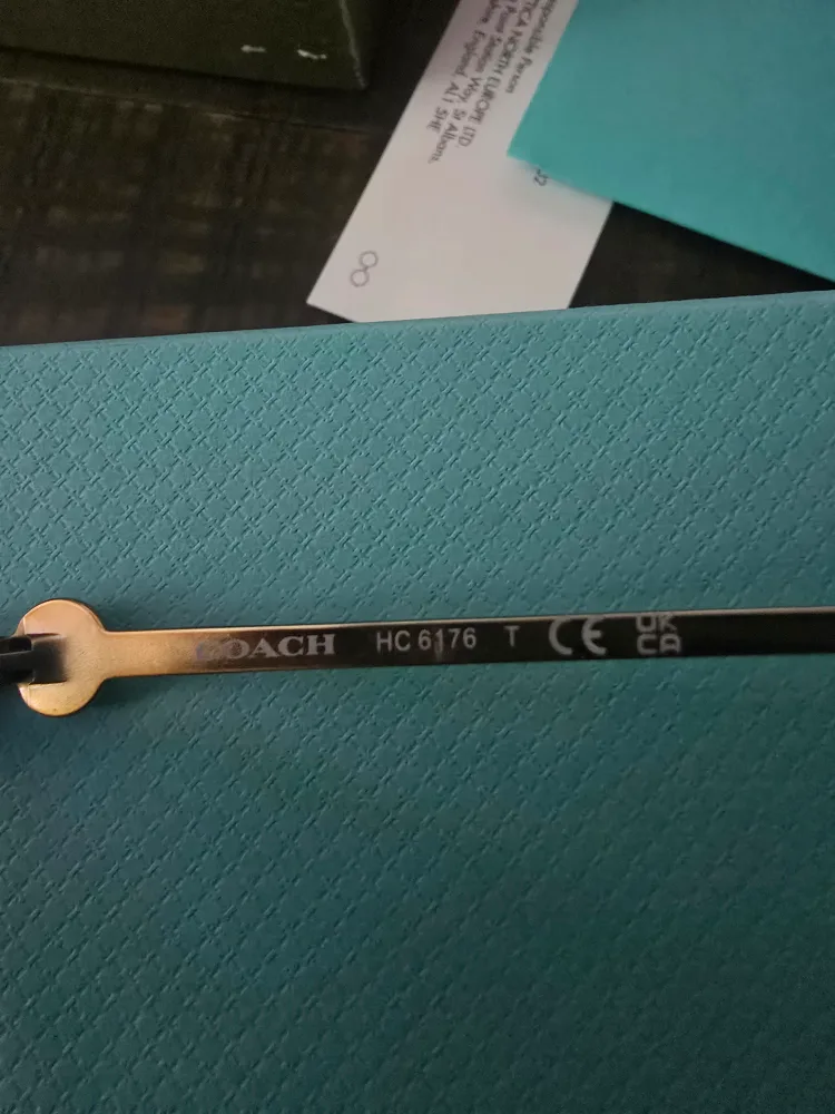 Coach Women's frame HC 6176 image indicator(4)