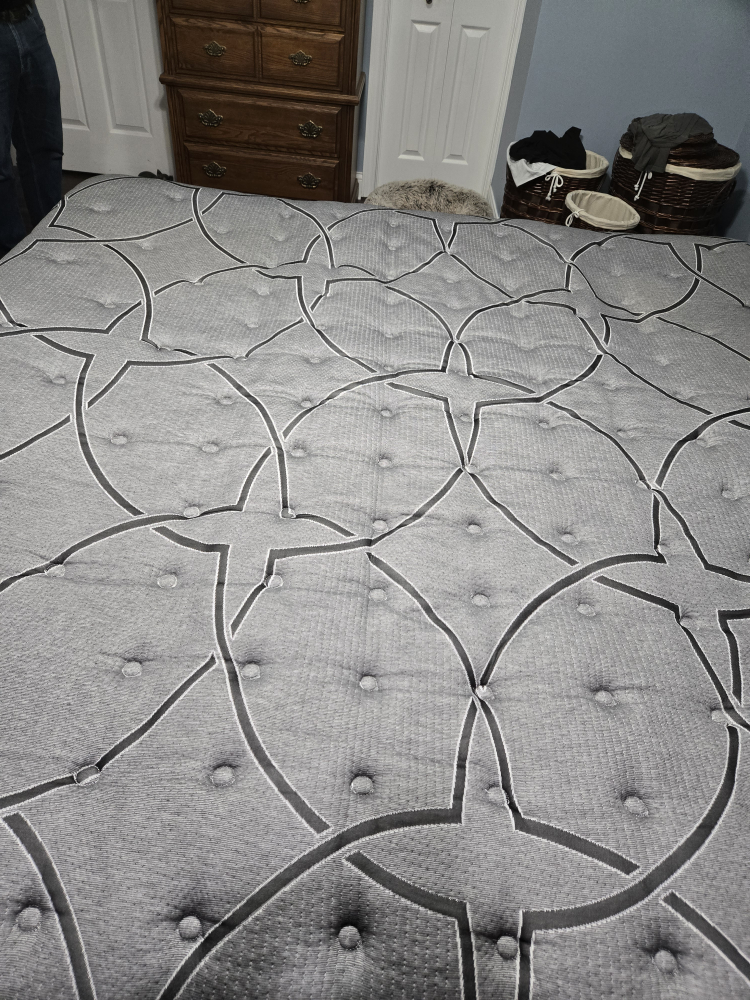 Sealy MABECK Mattress - photo 4