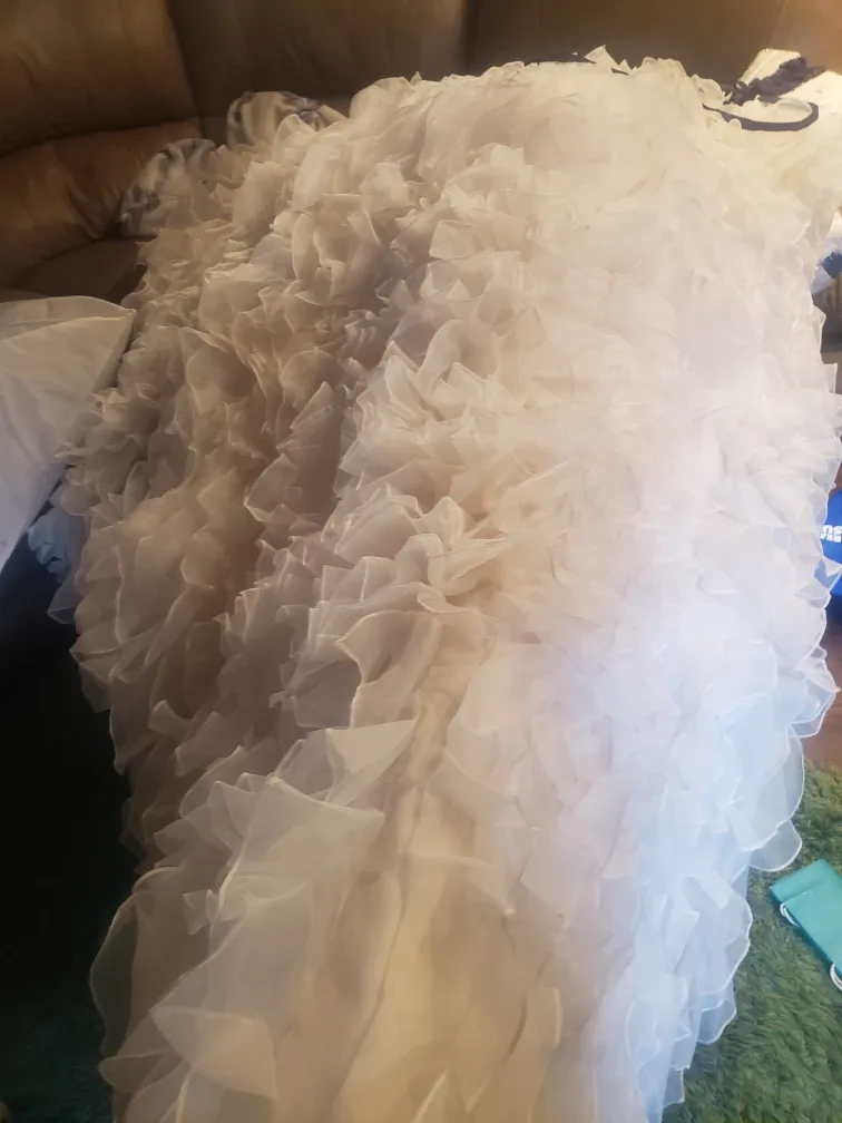 Wedding dress image indicator(5)