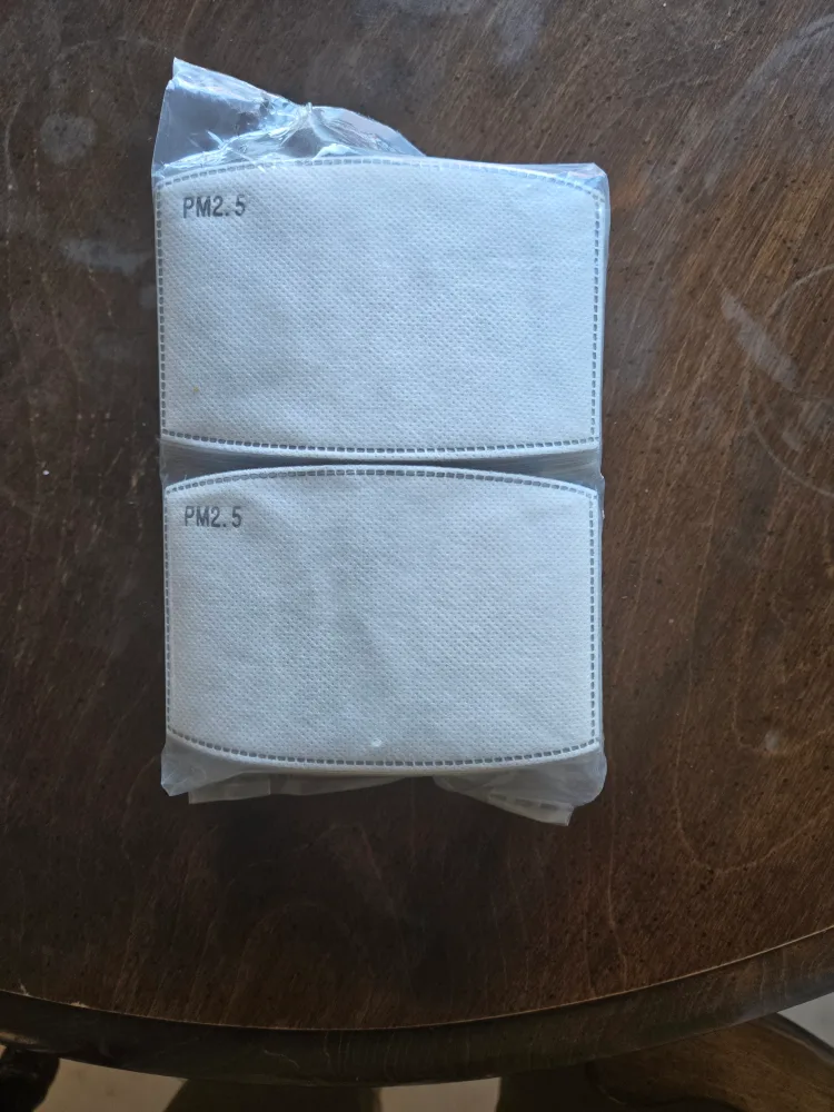 PM 2.5 Mask Filters