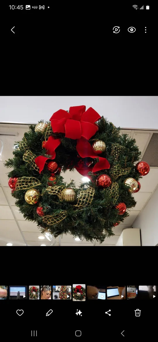 Christmas Wreath with Lights thumbnail