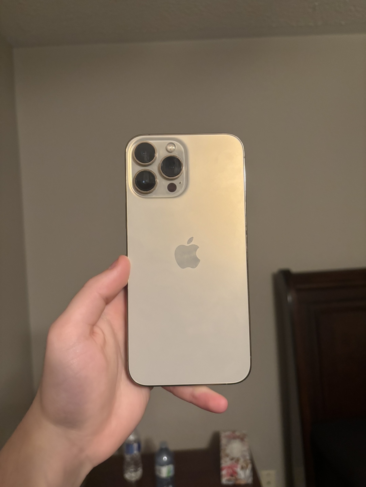 iPhone 13 Pro Max 256GB