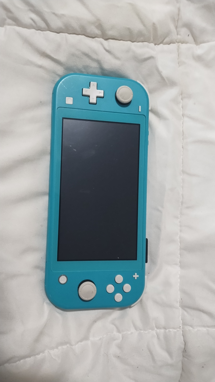 Nintendo Switch Lite (NEGOTIABLE)