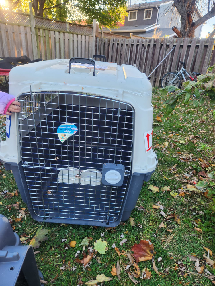 Pet Carrier - Kennel - Travel crate