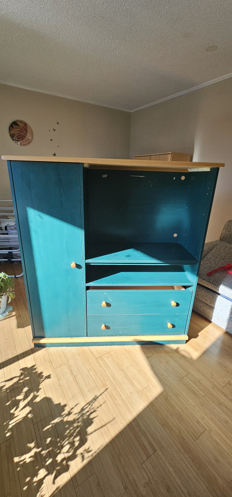 Teal Entertainment Unit with Cabinet - photo 2