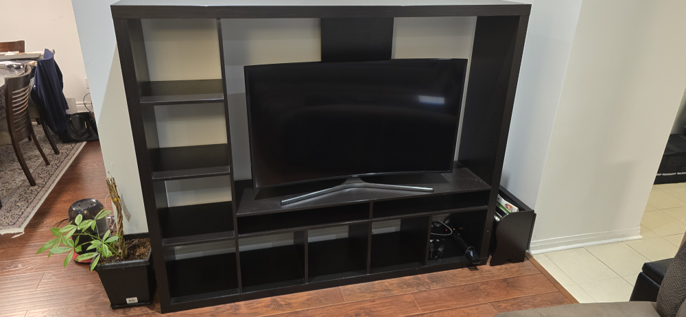 Black TV Stand with Shelves