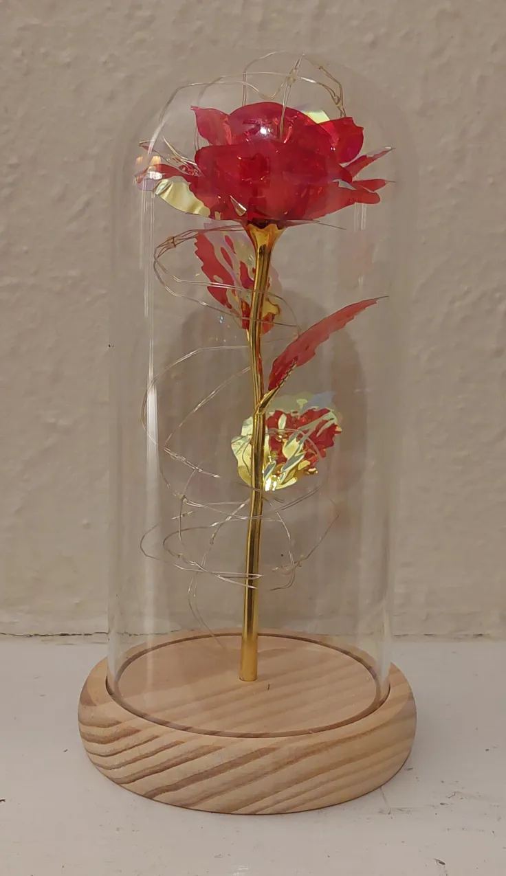 Red Rose in Glass Dome with Lights#freecycle thumbnail