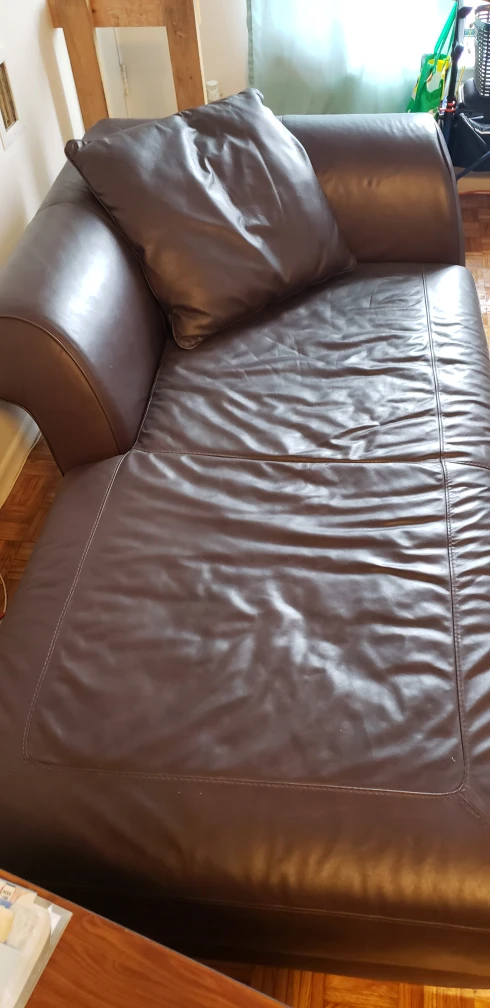 Brown Leather Chaise Lounge