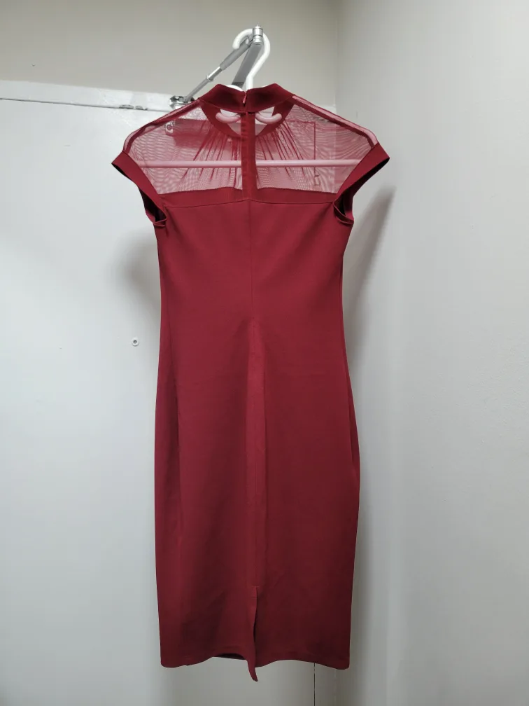 Red Mesh Neckline Dress image indicator(2)