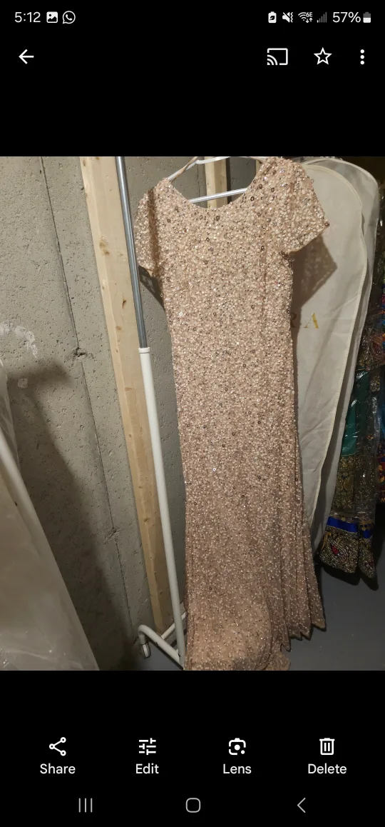 Adrianna Papell Sequin Gown image indicator(3)