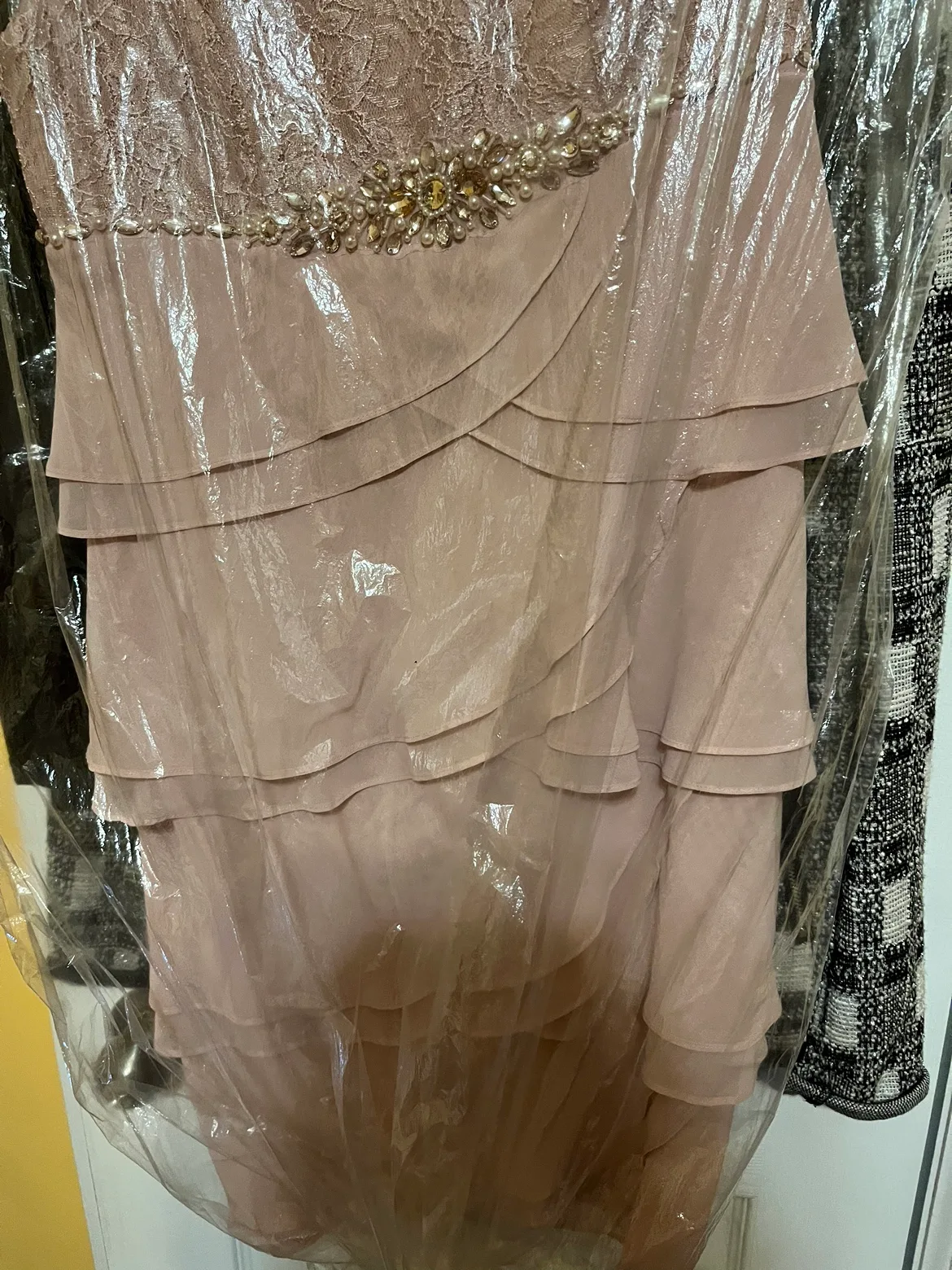 Adrianna Papell Blush Pink Lace Party image indicator(2)