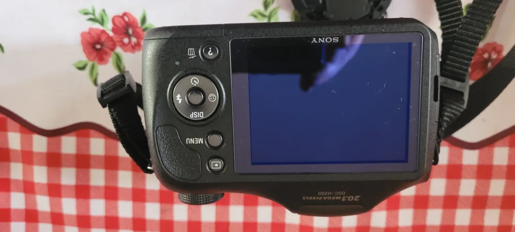 Sony Cyber-shot DSC-H200 Digital Camera image indicator(4)