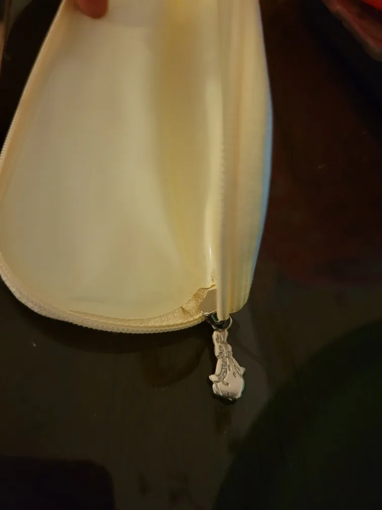 The World of Peter Rabbit Pencil Case - ThriftyPicks image indicator(4)