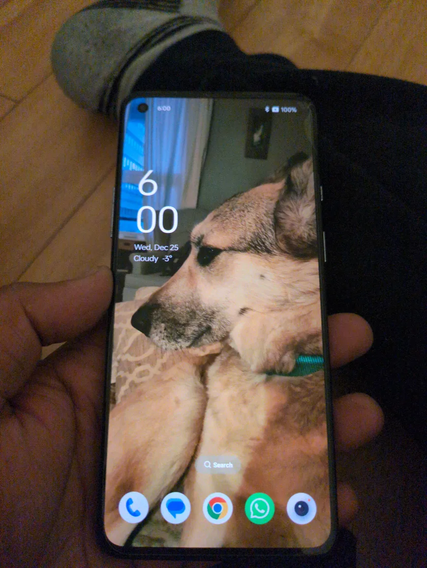 OnePlus 8T 5G. image indicator(3)