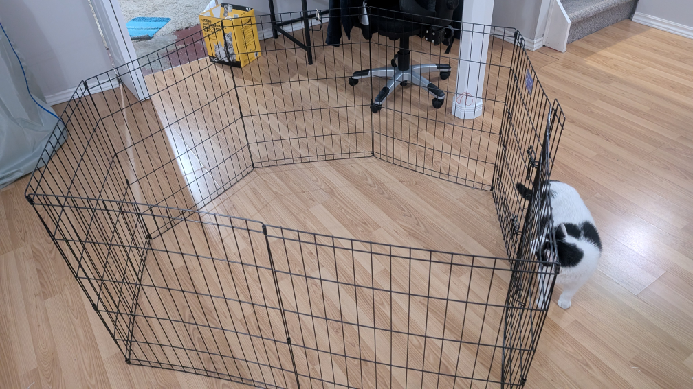 Pet Playpen