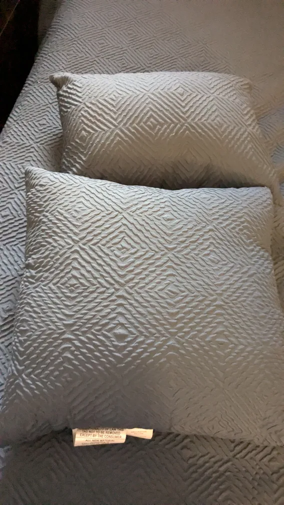 Two Decorative Pillows thumbnail