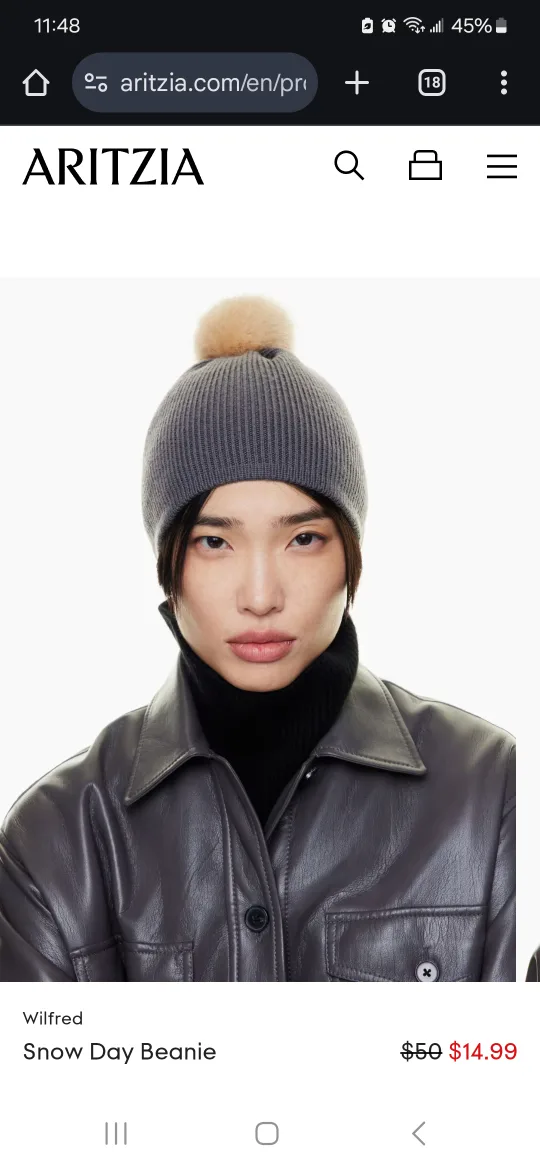 Brand new with tags - Aritzia Main Character Beanie image indicator(3)