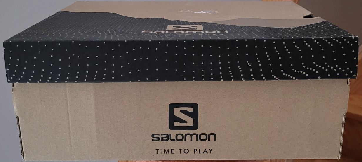 Men's Salomon Winter Boots
