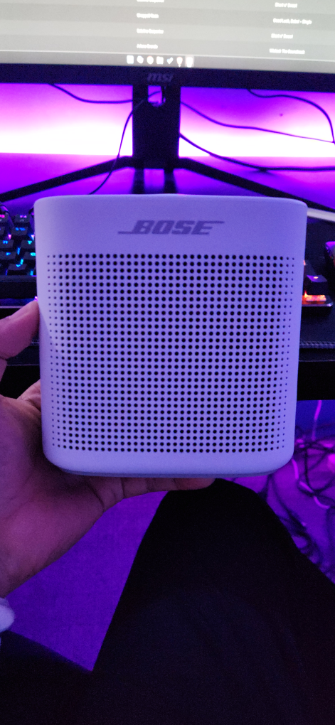 Bose SoundLink Color 2