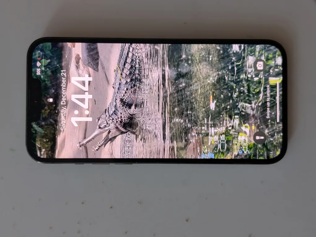 iPhone 13 Pro Max - Green 1tb image indicator(3)