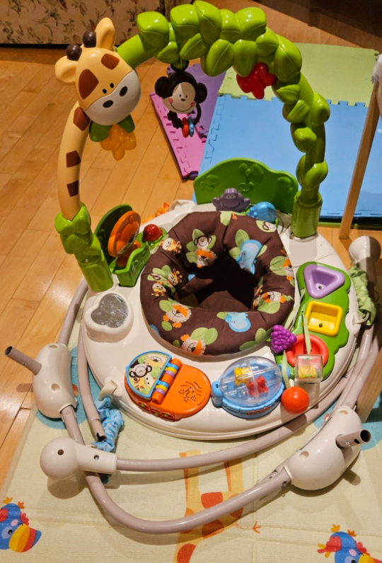Fisher-Price Go Wild Jumperoo - photo 2
