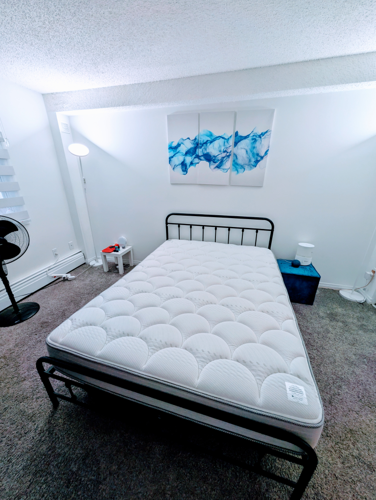 SERTA Queen bed with Mattress