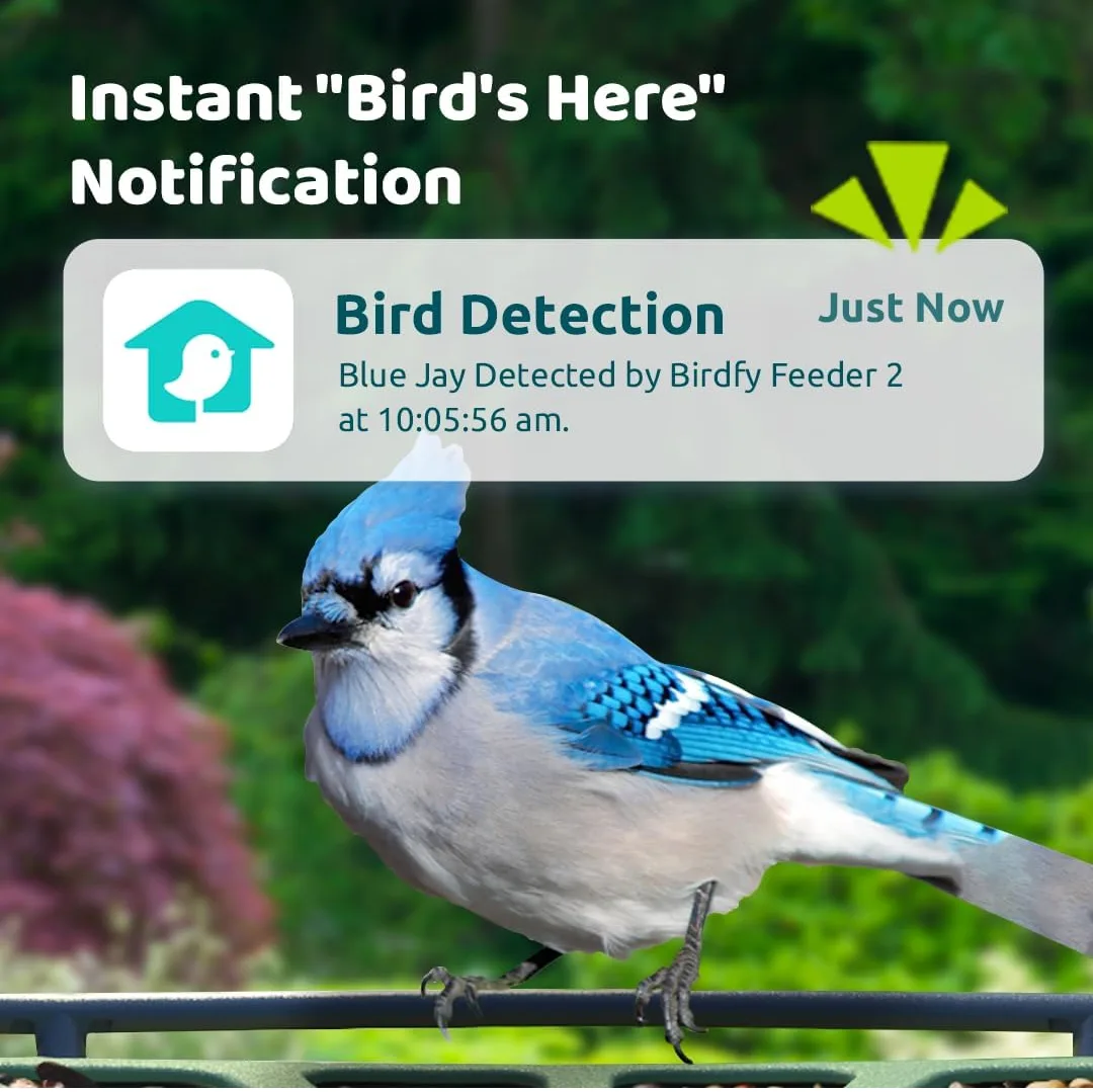 Bird Identifier & Smart Bird Feeder image indicator(3)