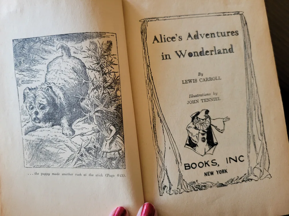 Alice's Adventures in Wonderland by Lewis Carroll image indicator(4)