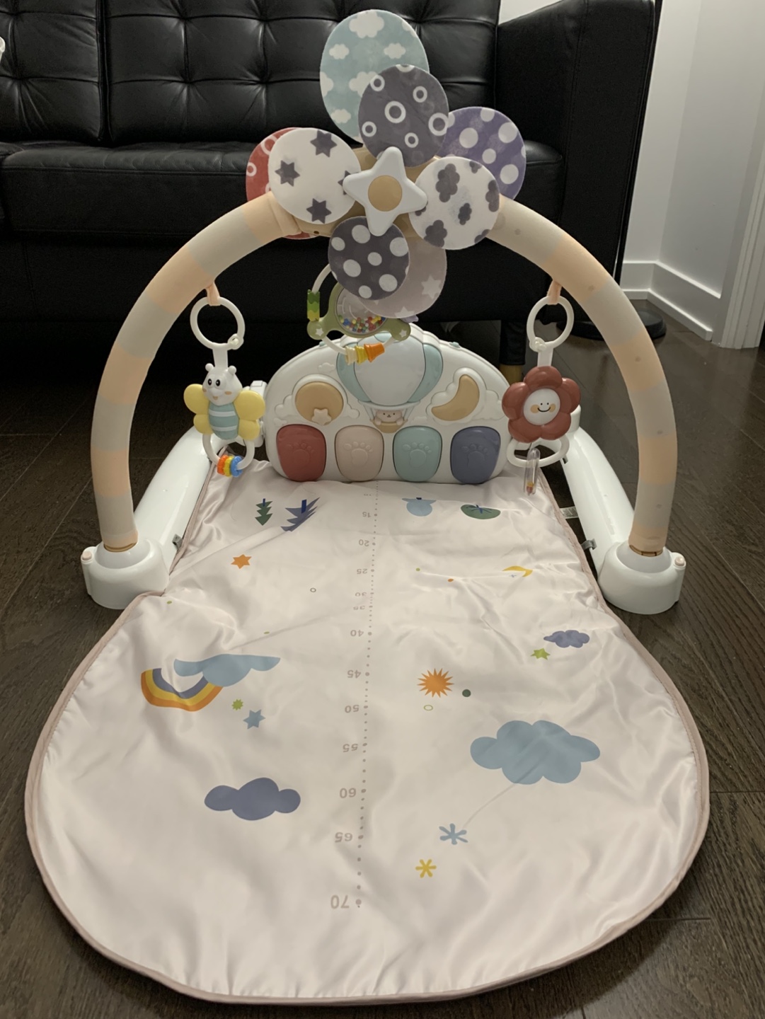 Baby Play gym with Arch and Toys