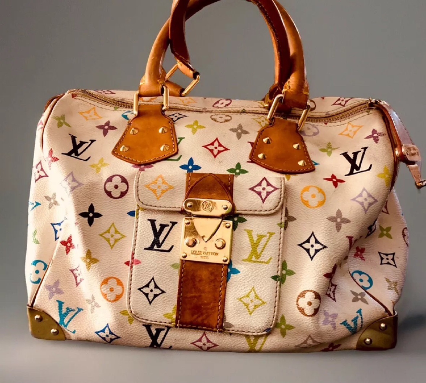 Louis Vuitton Speedy 30 Multicolore